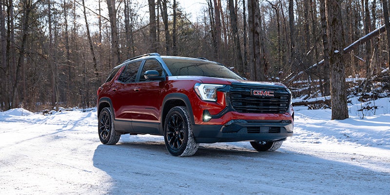 2026 GMC Terrain in forest setting